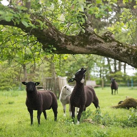 Buitenplaats Natuurlijk Goed Panzió Oosterwolde