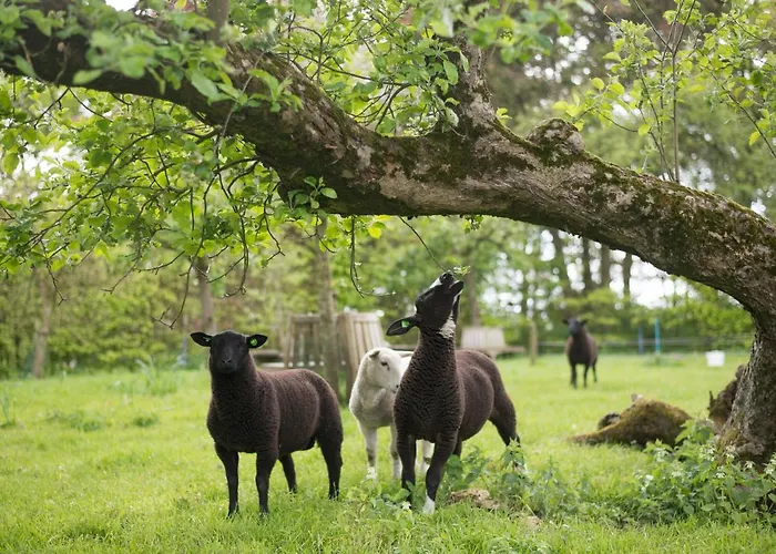 Buitenplaats Natuurlijk Goed Frühstückspension Oosterwolde (Gelderland)