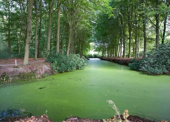 Buitenplaats Natuurlijk Goed Frühstückspension